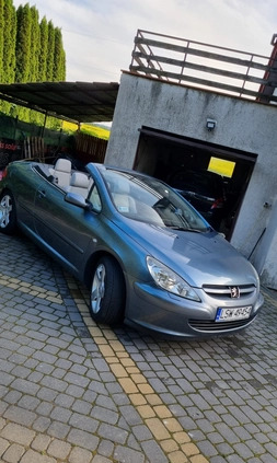 Peugeot 307 CC cena 9800 przebieg: 316000, rok produkcji 2004 z Aleksandrów Łódzki małe 154